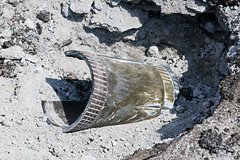 Число пострадавших при обстрелах Горловки выросло