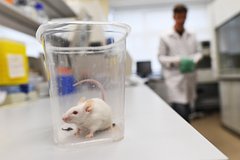 Иммунолог оценил риск пандемии из-за нового гепатита