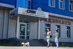 Названа возможная причина сбоя у СДЭК