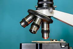 Обнаружен новый способ лечения болезни Альцгеймера