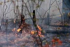 Россиян предупредили об угрожающей Краснодарскому краю опасности