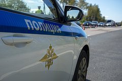 В московском парке заметили пытавшегося закопать человеческий эмбрион мигранта