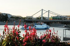 Движение по Крымскому мосту на время перекрыли