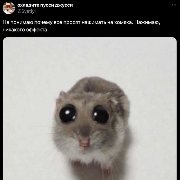 Игра про хомяка Hamster Combat