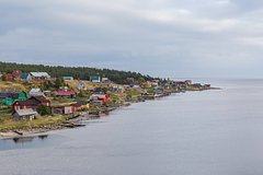 На российском побережье нашли обезглавленных детенышей нерп