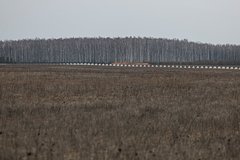На Украине установили рекорд по попытке одновременного бегства от мобилизации