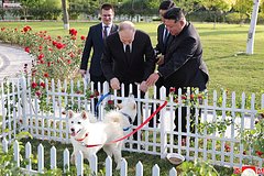 Появились новые подробности о подаренных Путину Ким Чен Ыном собаках