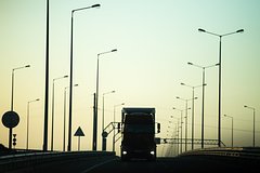 Россиян захотели накормить мясом ламы