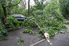 Синоптики оценили разгул «Эдгара» по Москве