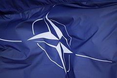 Стало известно о планах НАТО поставлять ВСУ дробовики для борьбы с БПЛА
