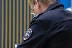 У старшего брата Максима Галкина прошли обыски