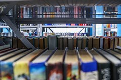 В ДНР нашли напечатанную на деньги США экстремистскую литературу