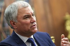 Володин призвал запретить усыновлять российских детей для ряда государств