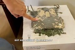 Боевому коту Дизелю из зоны СВО отправили бронежилет