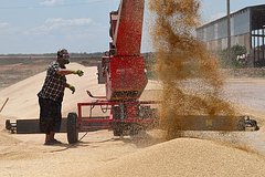 На выставке-форуме «Наша родина» рассказали о перспективах сельского хозяйства