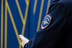 Раскрыта схема мошенничества с помощью поддержки бойцов СВО