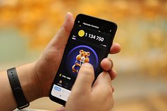 Россияне бросились скупать массажеры для игры в хомяка