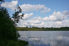 Россияне покрылись волдырями из-за проникших под кожу личинок после купания