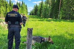 В Финляндии заявили о скоплении мигрантов у границы