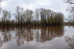 В российском регионе ввели режим ЧС из-за паводка